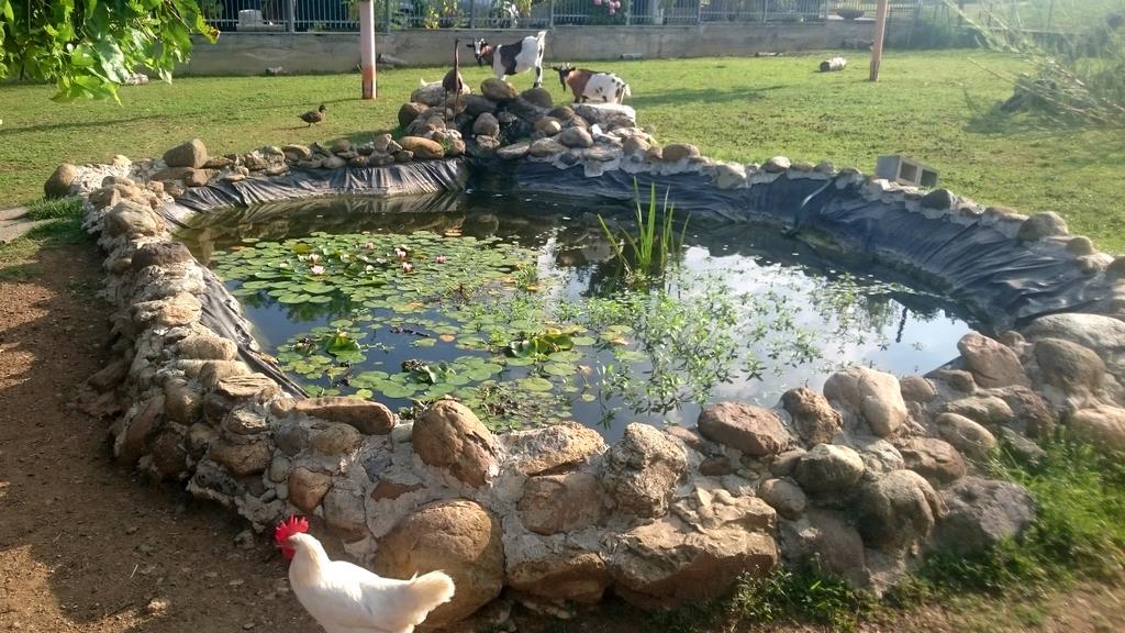 مبيت وإفطار Pecetto Ciliegissima المظهر الخارجي الصورة